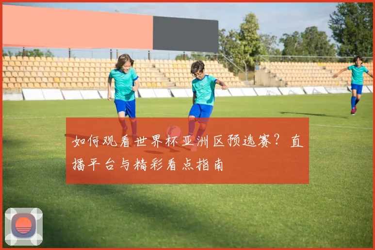 如何观看世界杯亚洲区预选赛？直播平台与精彩看点指南